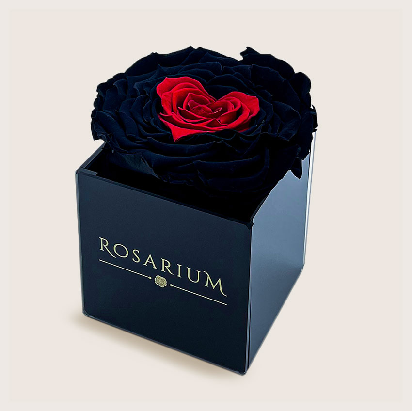 rosarium highlight fekete szines uvegdoboz